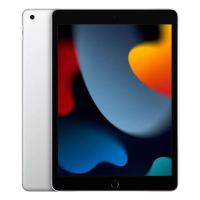 Apple IPad 9ª Geração “10.2 Pol” Wi-Fi  256 GB  (A13 BIONIC) 