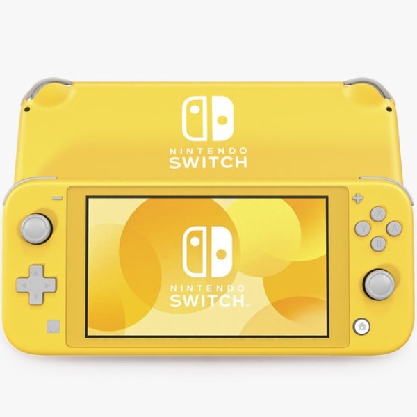 Video Game Nintendo Switch Lite